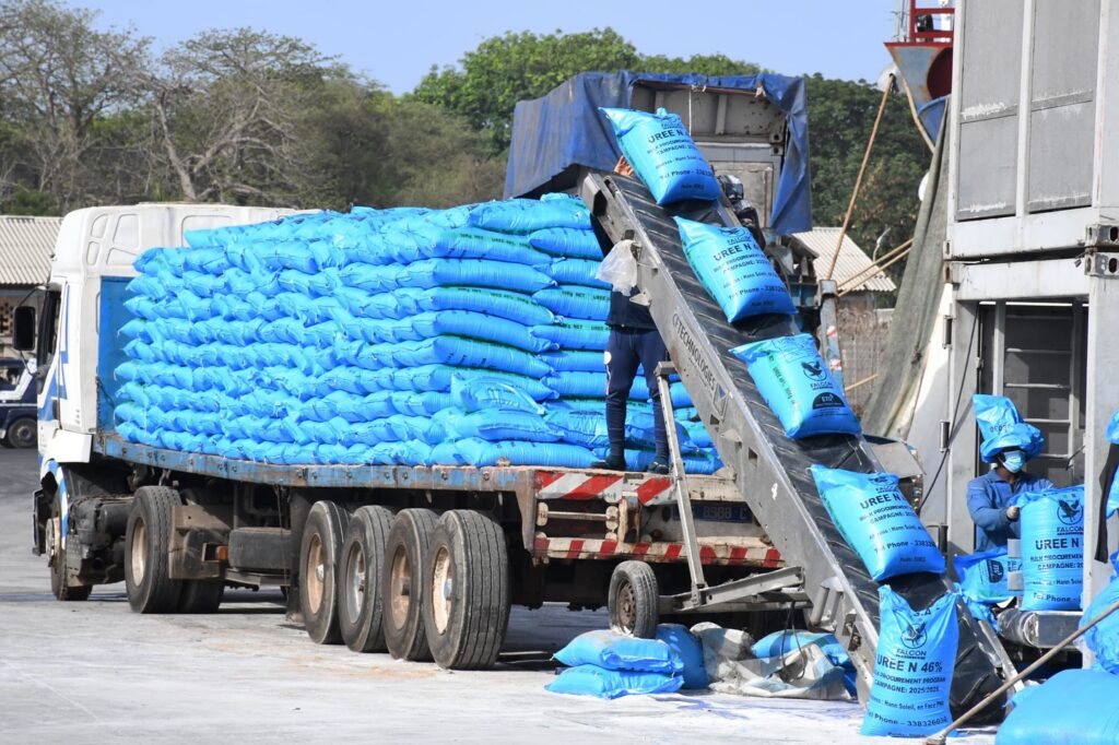 Stock de sacs d’engrais agricoles destiné à la distribution par le Groupe Mbamba Tall