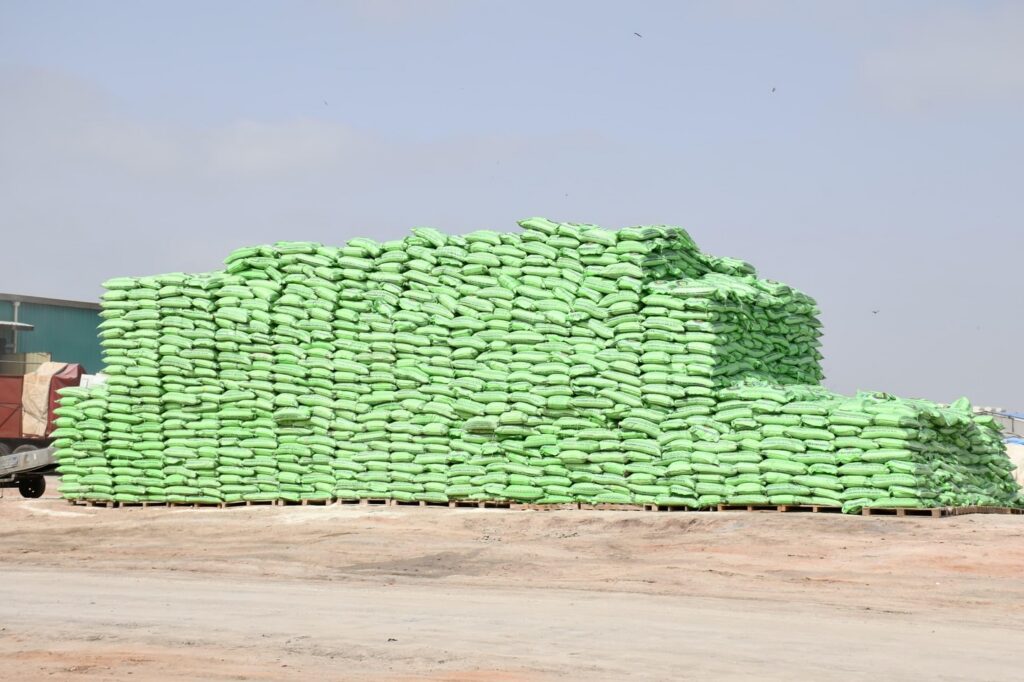 Stock de sacs d semences agricoles destiné à la distribution par le Groupe Mbamba Tall