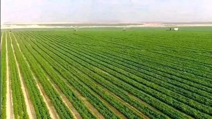 b72f8d0b 063e 438d aa12 f4c895da7dcc