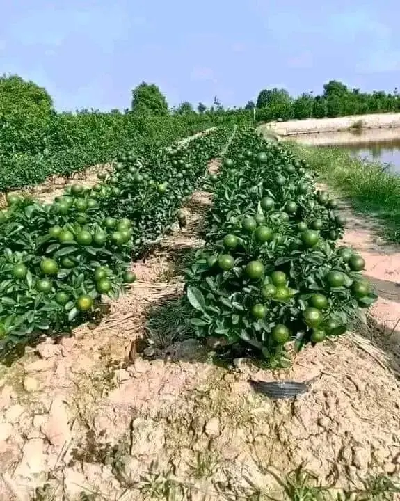 e75b0d2a 6b7f 4da4 8162 4d2098838102