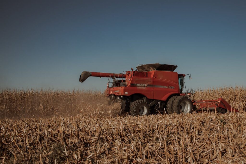 Red combine harvester harvesting corn under a clear sky, showcasing modern agriculture.
