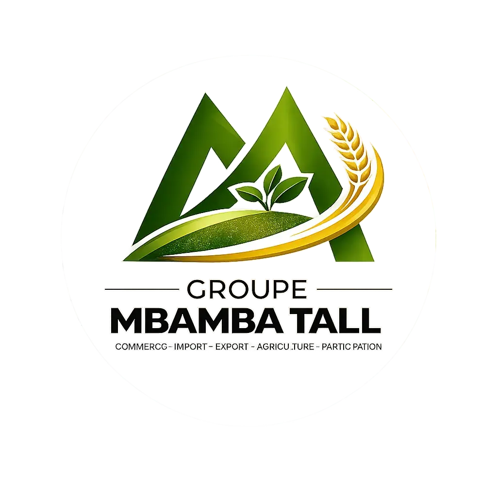 logo groupe mbamba tall étoilé